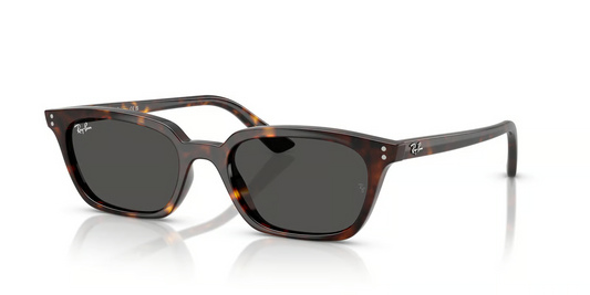 Ray-Ban RB4456F Zaya Sunglasses