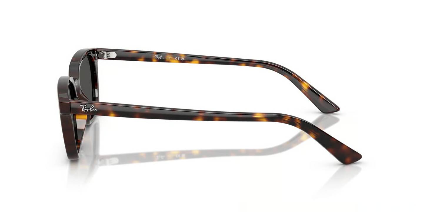 Ray-Ban RB4456F Zaya Sunglasses