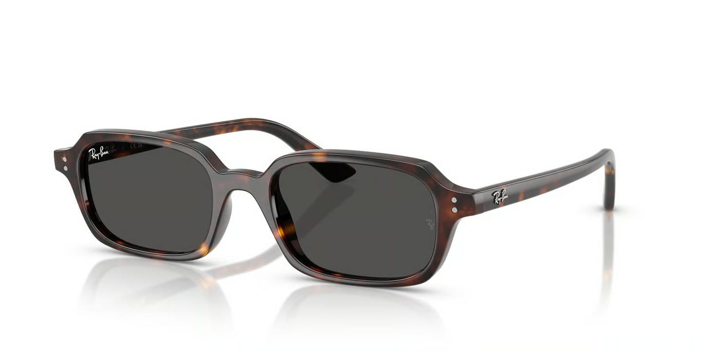 Ray-Ban RB4455F Zuri Sunglasses