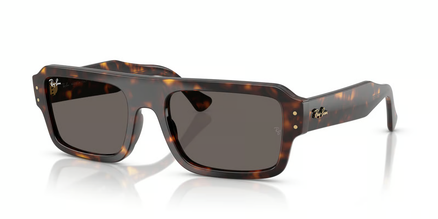 Ray-Ban RB4454F Flacko Sunglasses