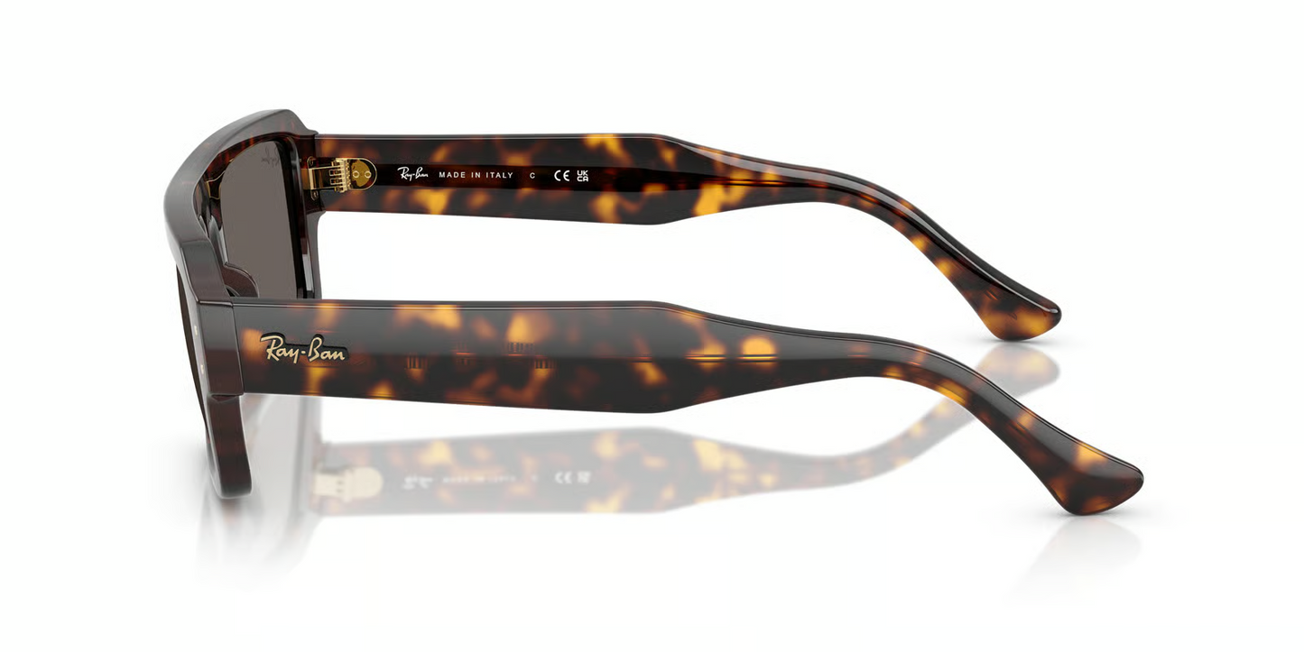 Ray-Ban RB4454F Flacko Sunglasses