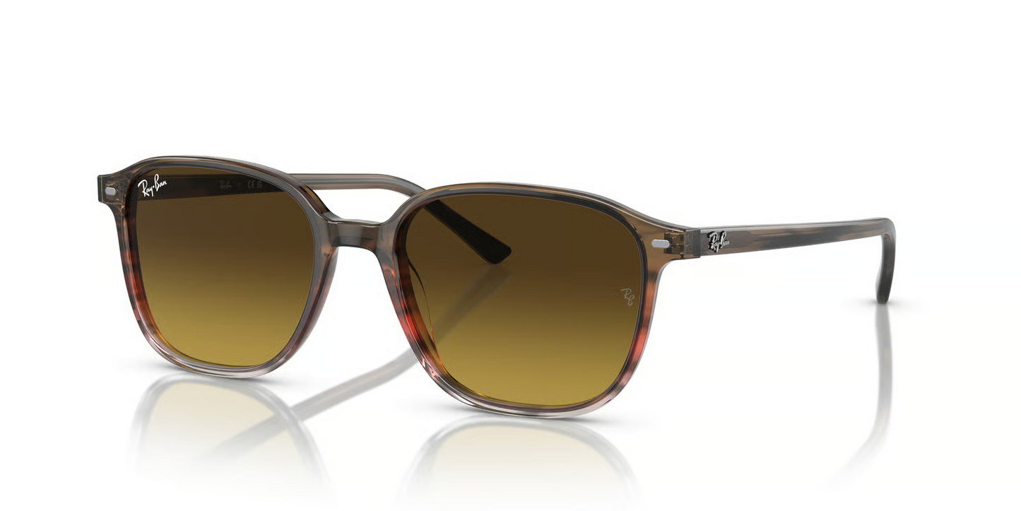 Ray-Ban RB2193 Leonard Sunglasses