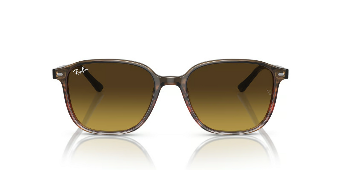 Ray-Ban RB2193 Leonard Sunglasses