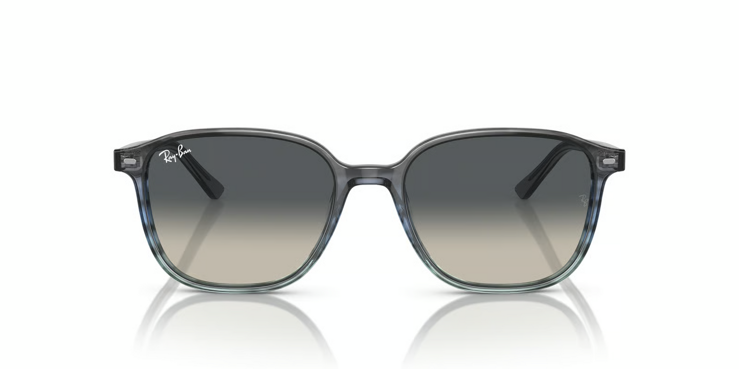 Ray-Ban RB2193 Leonard Sunglasses