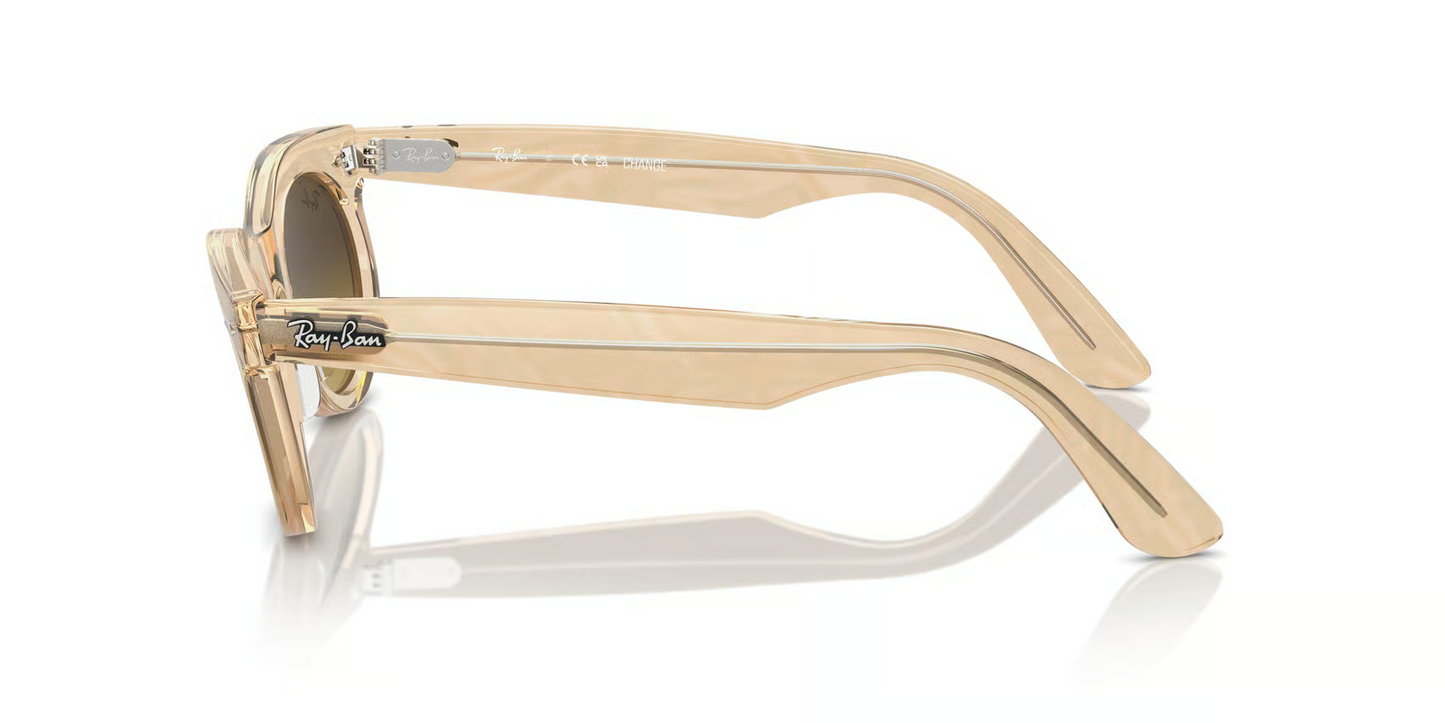 Ray-Ban RB2242F Wayfarer Oval Sunglasses