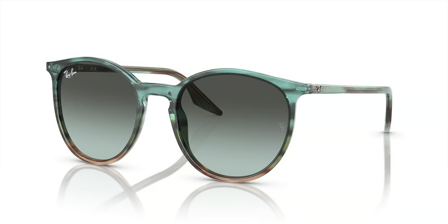 Ray-Ban RB2204 Sunglasses