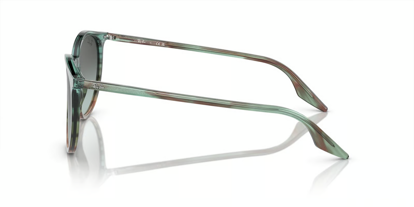 Ray-Ban RB2204 Sunglasses