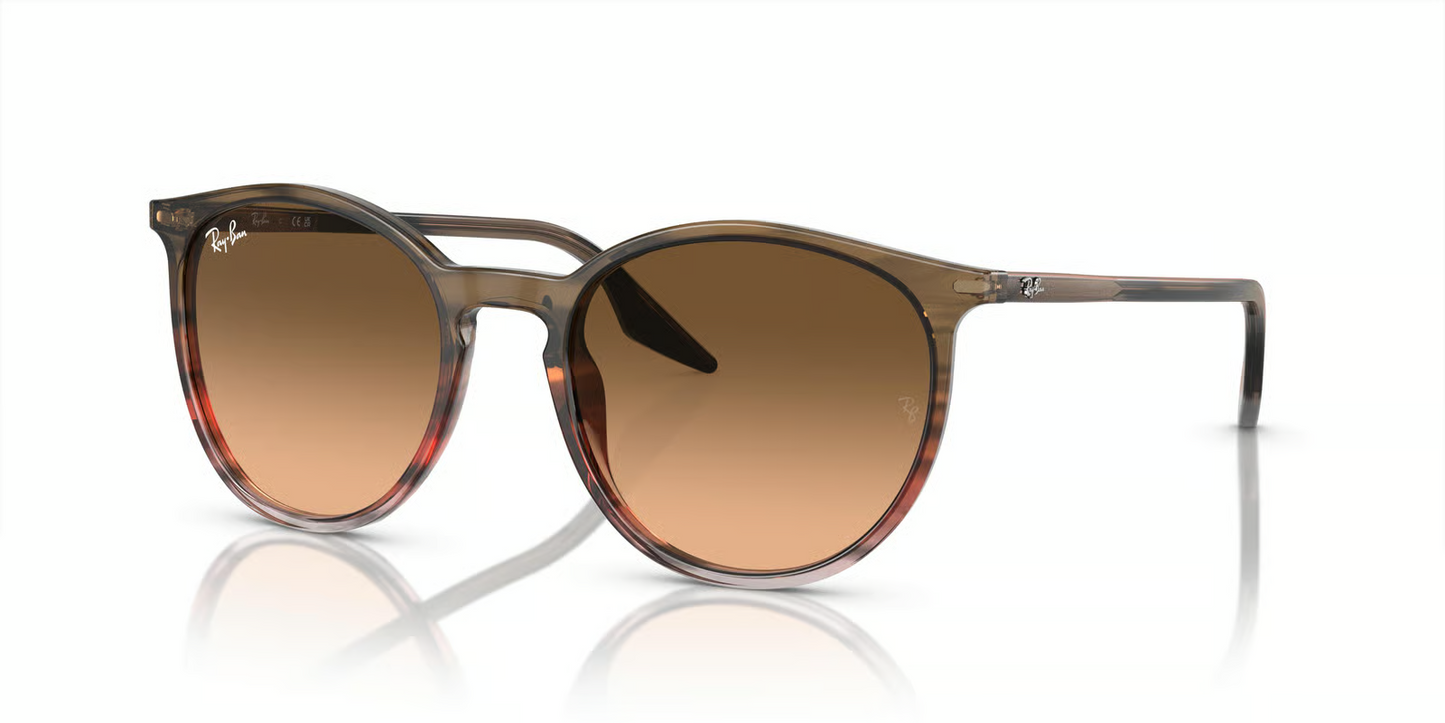 Ray-Ban RB2204 Sunglasses