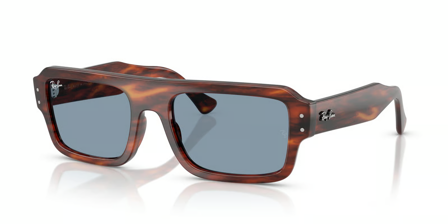 Ray-Ban RB4454F Flacko Sunglasses