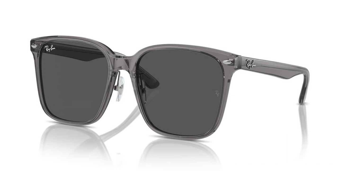 Ray-Ban RB2206D Sunglasses