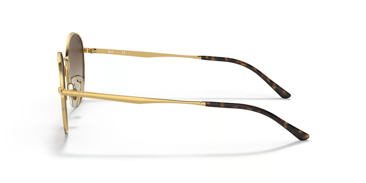 Ray-Ban RB3681 Sunglasses