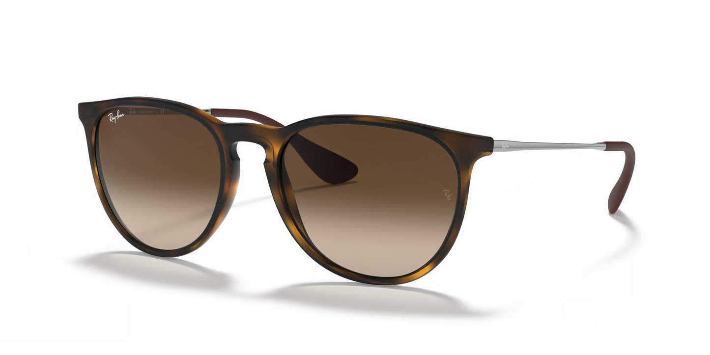Ray-Ban RB4171 Erika Sunglasses