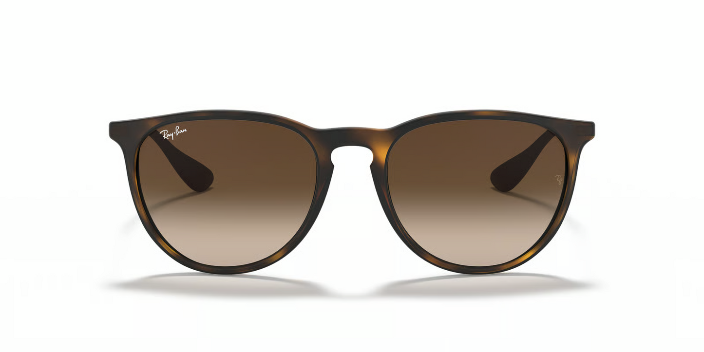 Ray-Ban RB4171 Erika Sunglasses