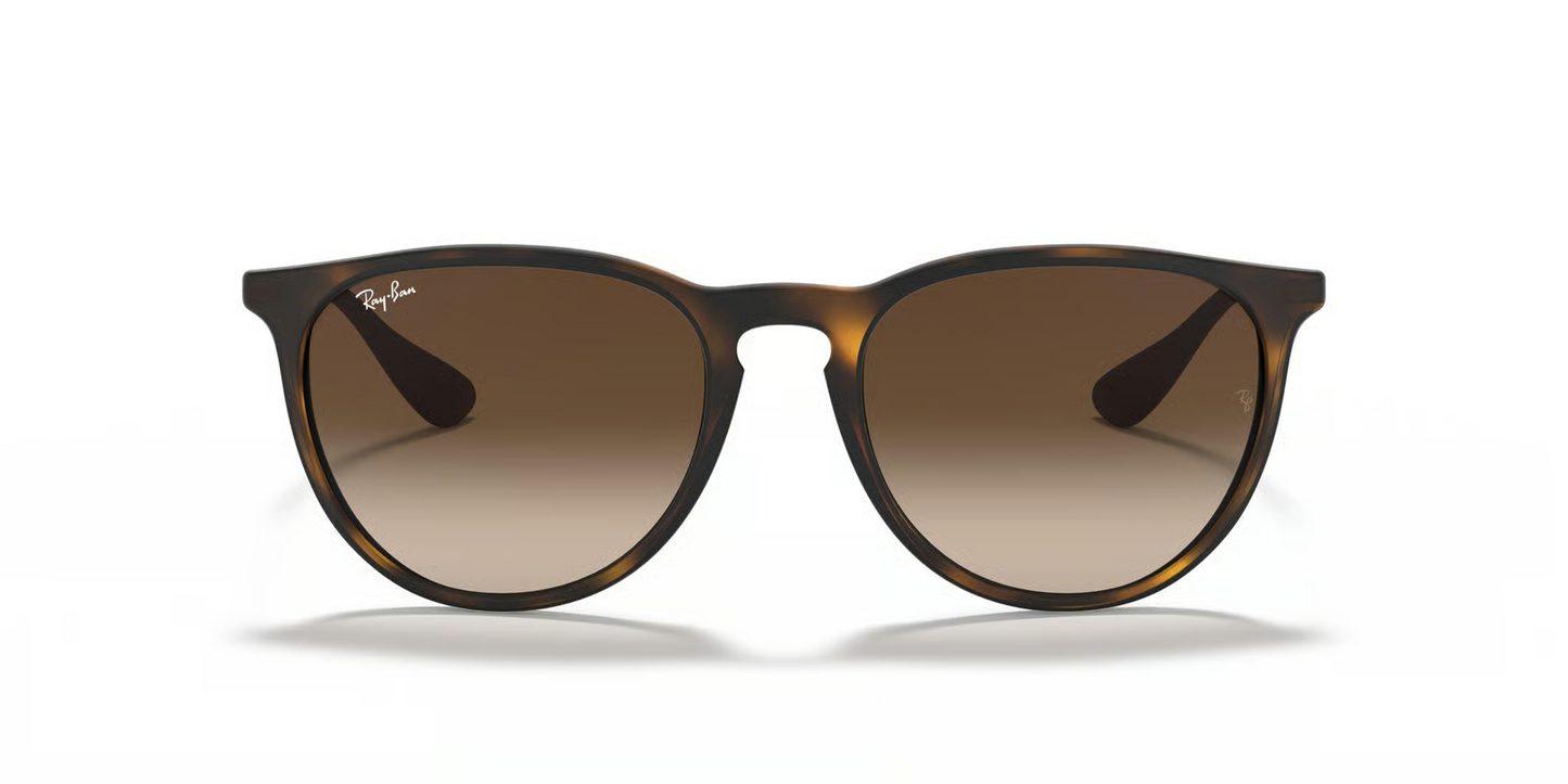 Ray-Ban RB4171F Erika Sunglasses
