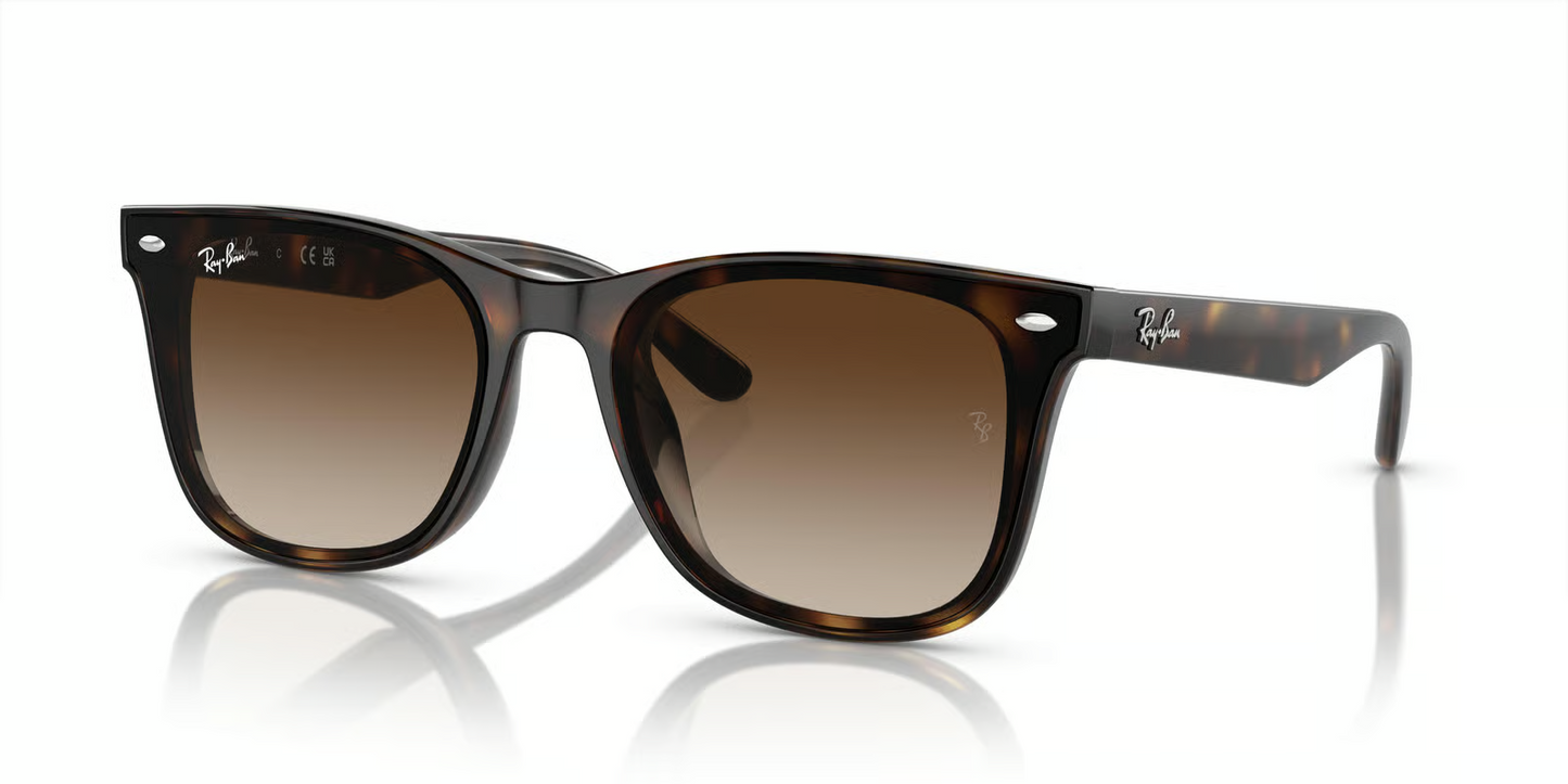 Ray-Ban RB4420 Sunglasses