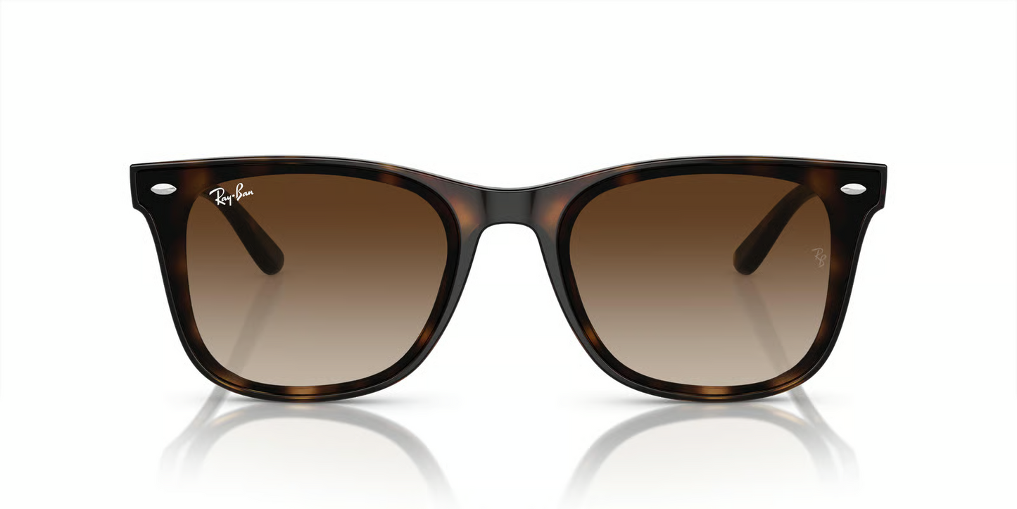 Ray-Ban RB4420 Sunglasses