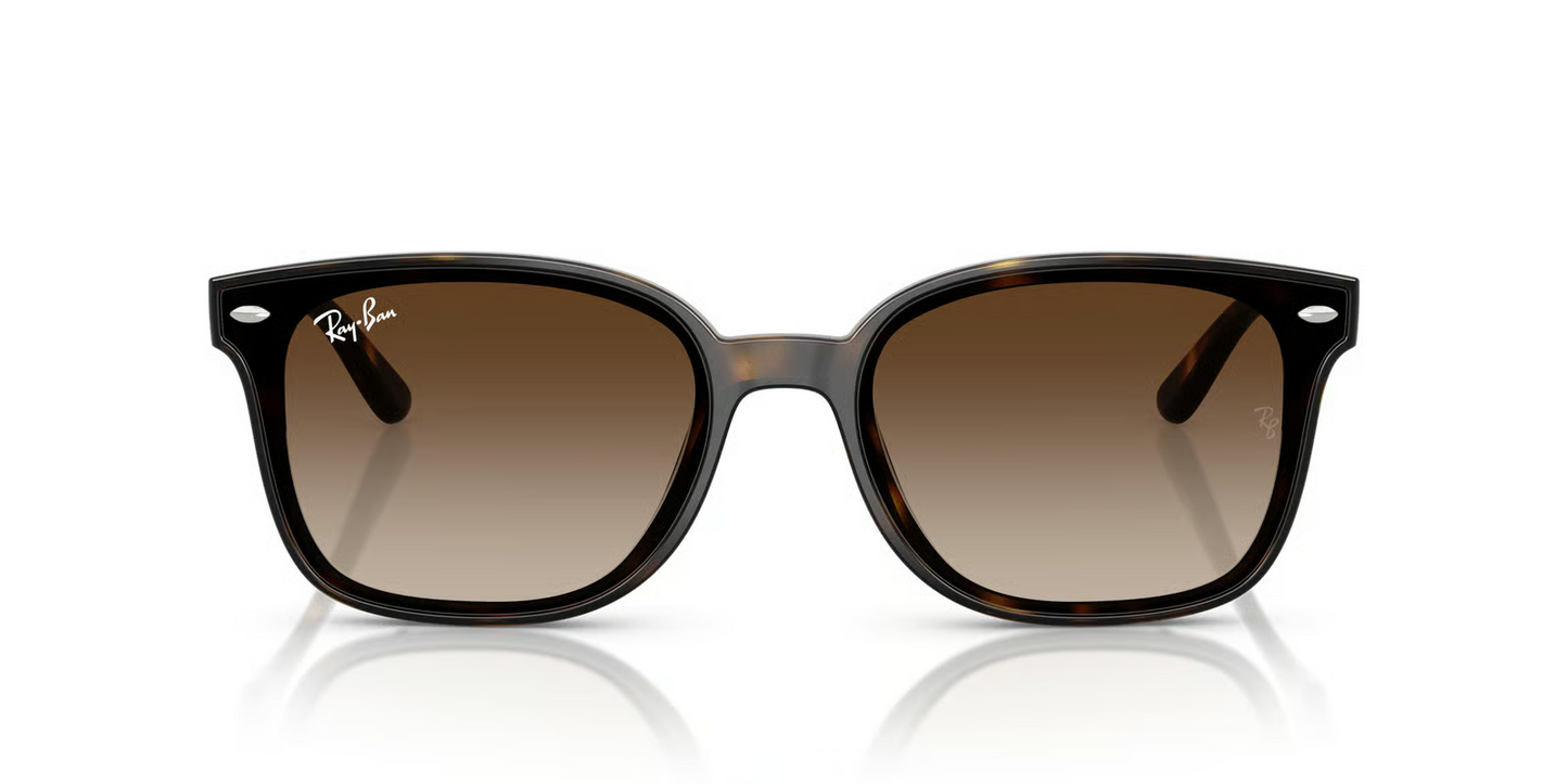 Ray-Ban RB4461D Sunglasses