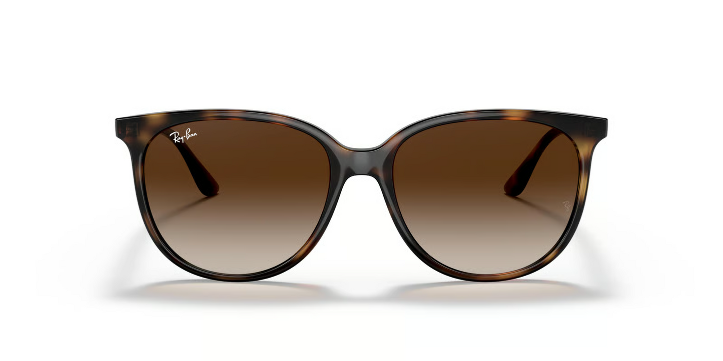 Ray-Ban RB4378F Sunglasses