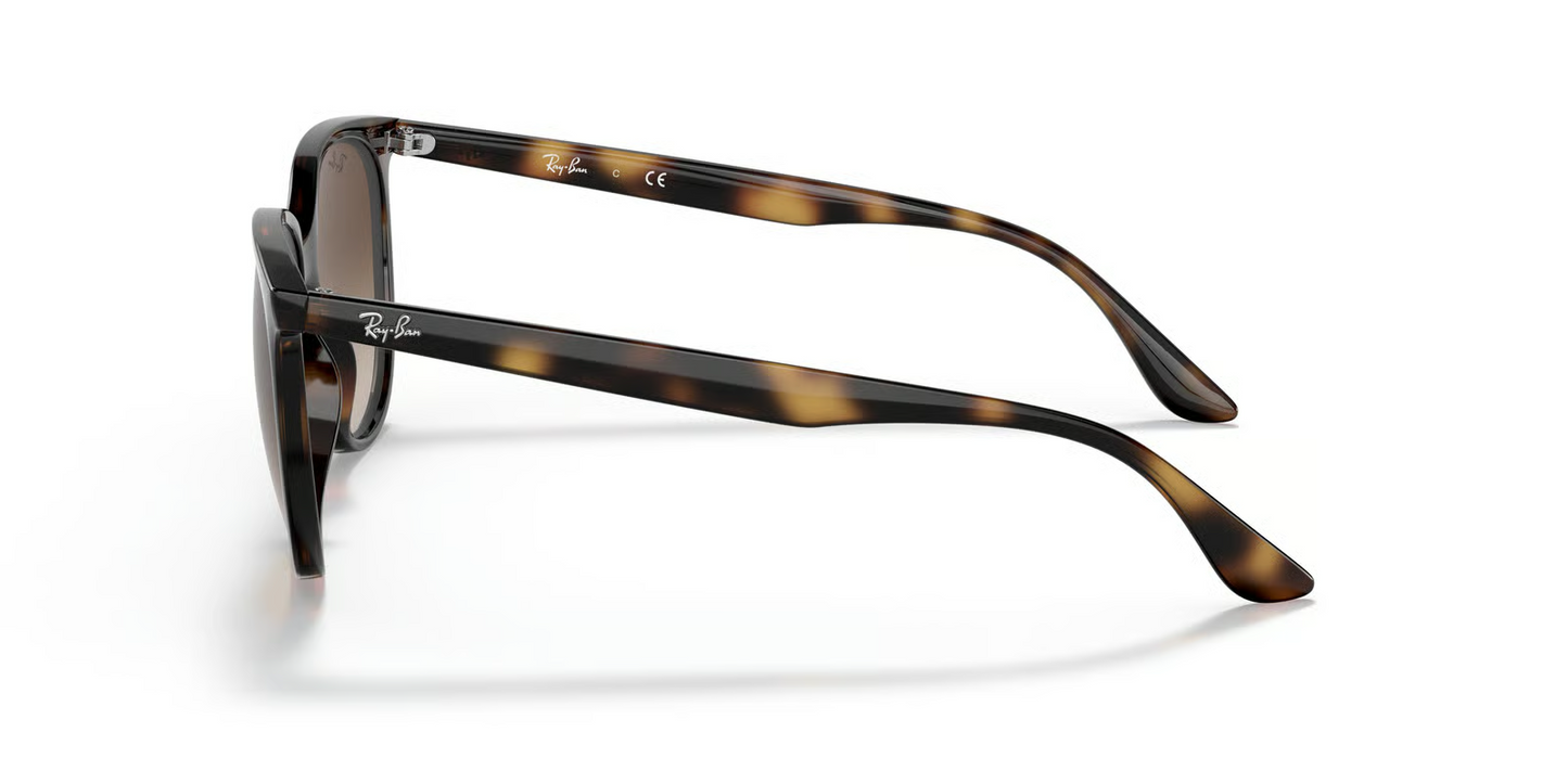 Ray-Ban RB4378F Sunglasses