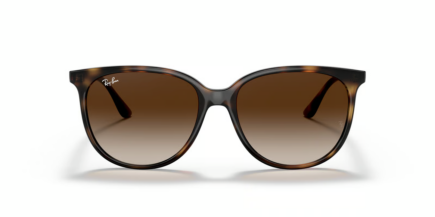 Ray-Ban RB4378 Sunglasses