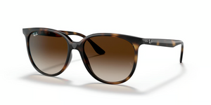 710/13 - Havana with Gradient Brown Lenses