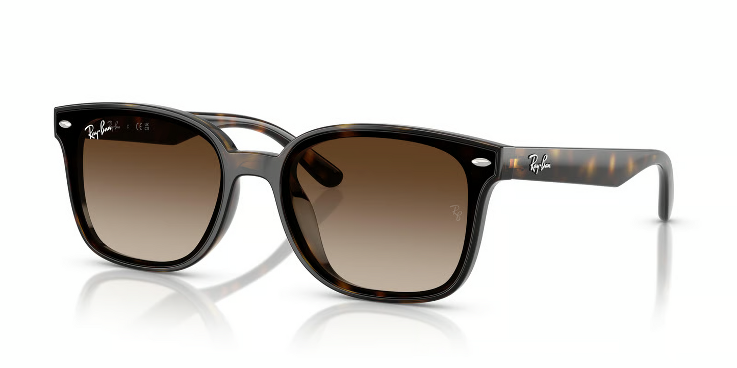Ray-Ban RB4461D Sunglasses