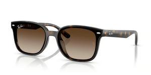 710/13 - Havana with Gradient Brown Lenses