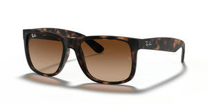 710/13 - Havana with Dark Brown Lenses