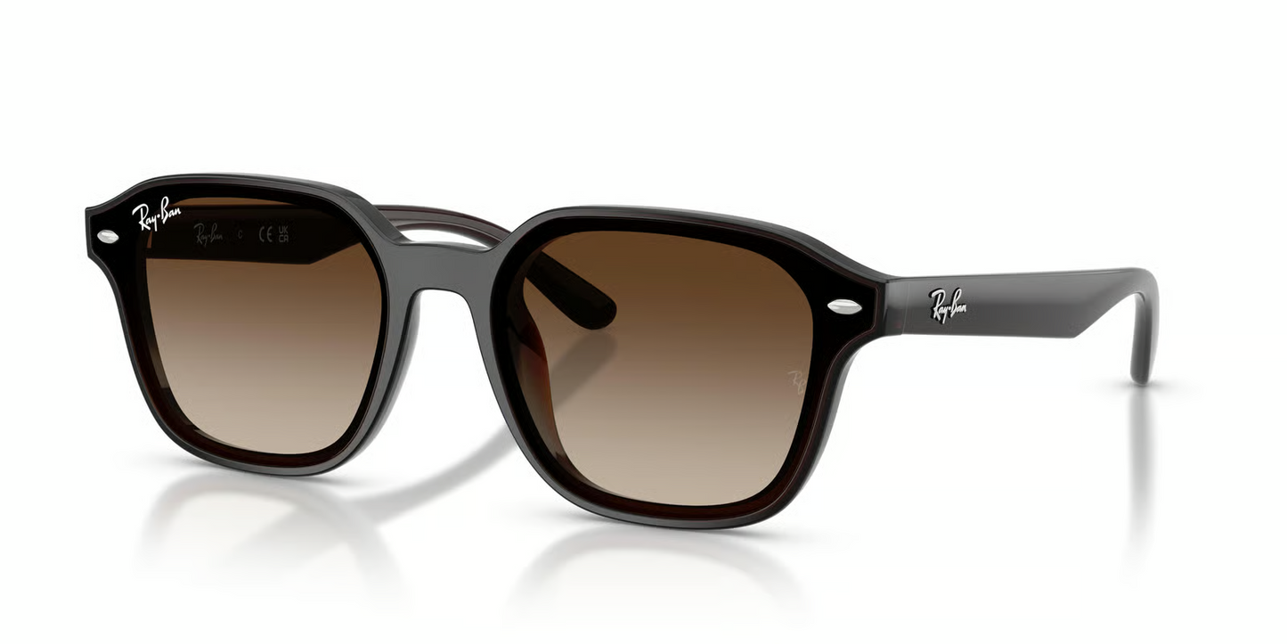 Ray-Ban RB4458D Sunglasses