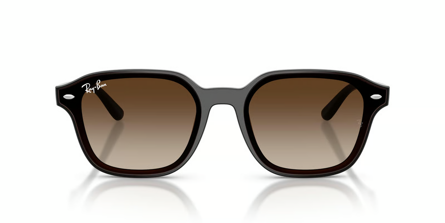 Ray-Ban RB4458D Sunglasses