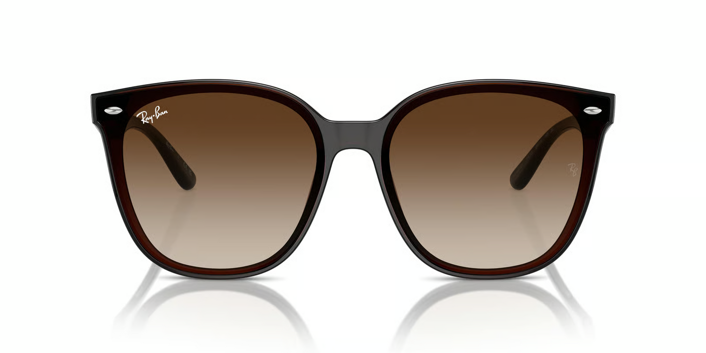 Ray-Ban RB4423D Sunglasses