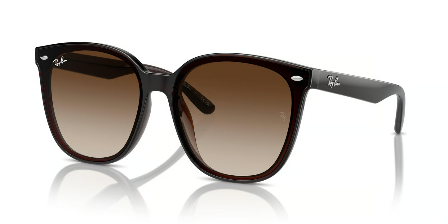 Ray-Ban RB4423D Sunglasses