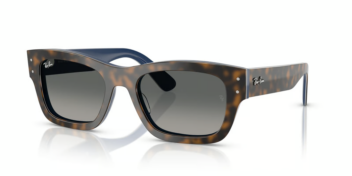 Ray-Ban RB7683S Joseph Sunglasses