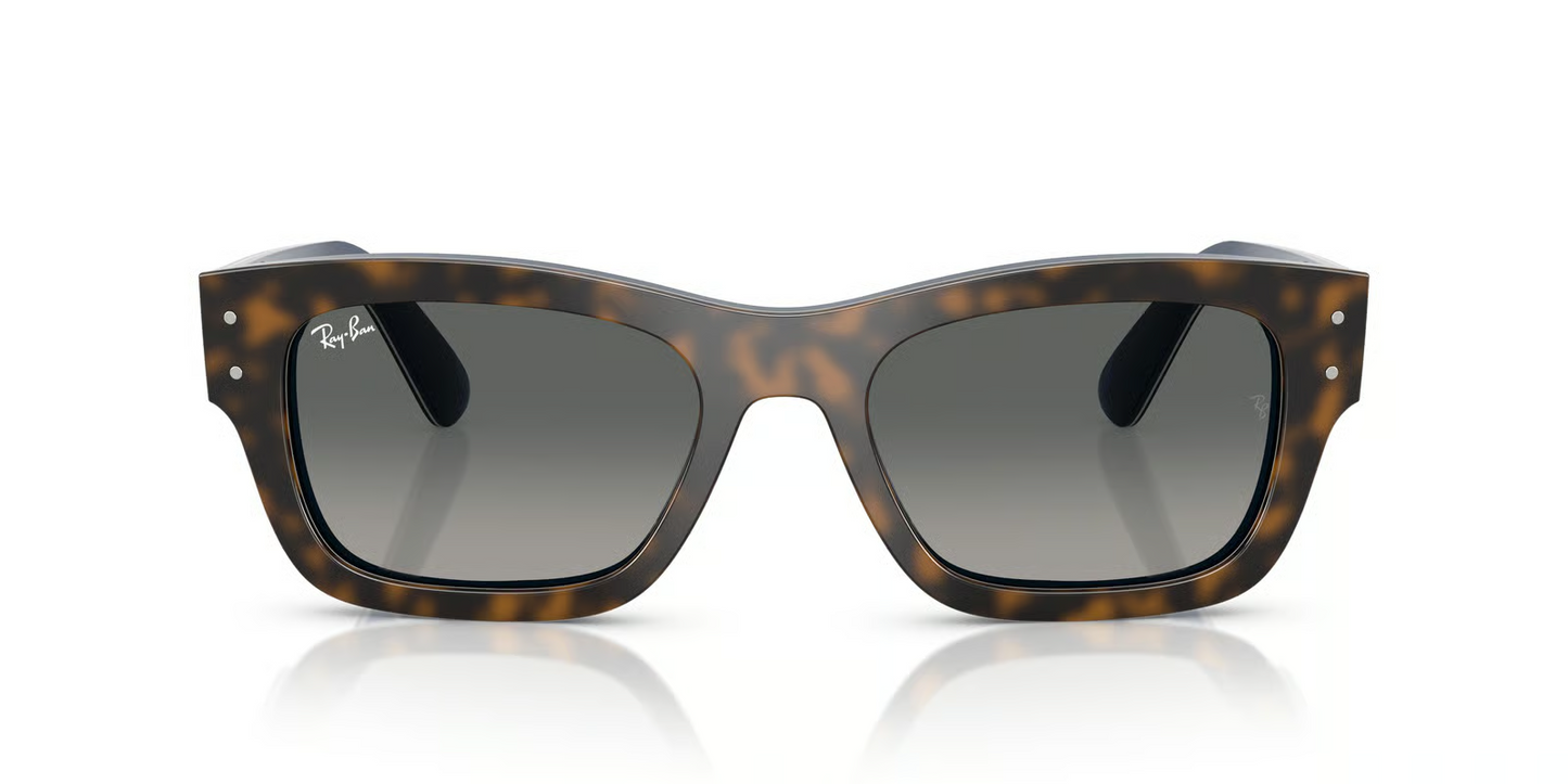 Ray-Ban RB7683S Joseph Sunglasses