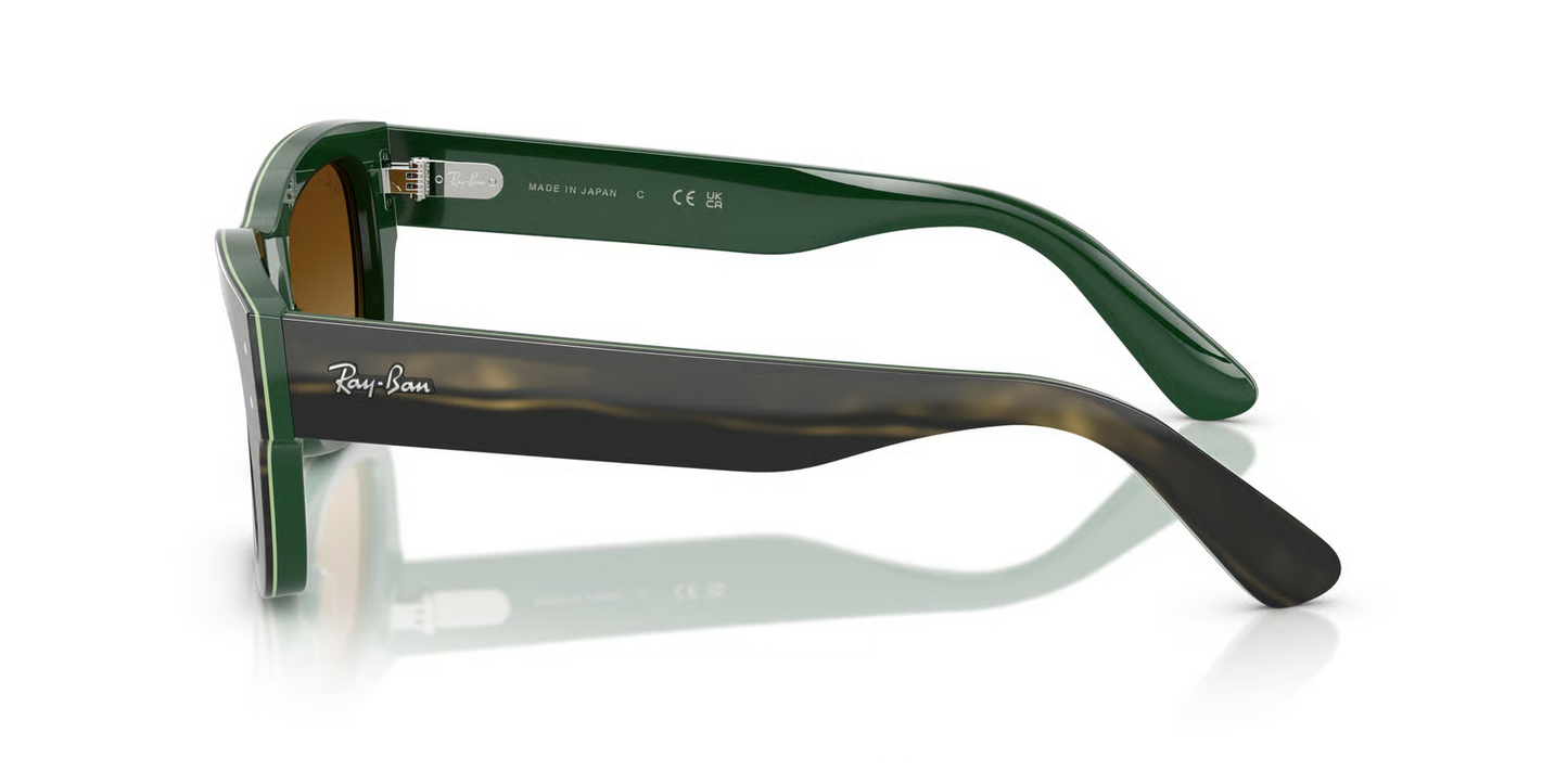 Ray-Ban RB7683S Joseph Sunglasses