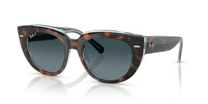 1413S3 - Dark Havana On Transparent Multicolor with Polarized Blue Gradient Lenses