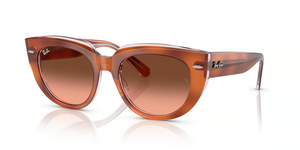 1415A5 - Red Havana On Transparent Multicolor with Pink Gradient Brown Lenses