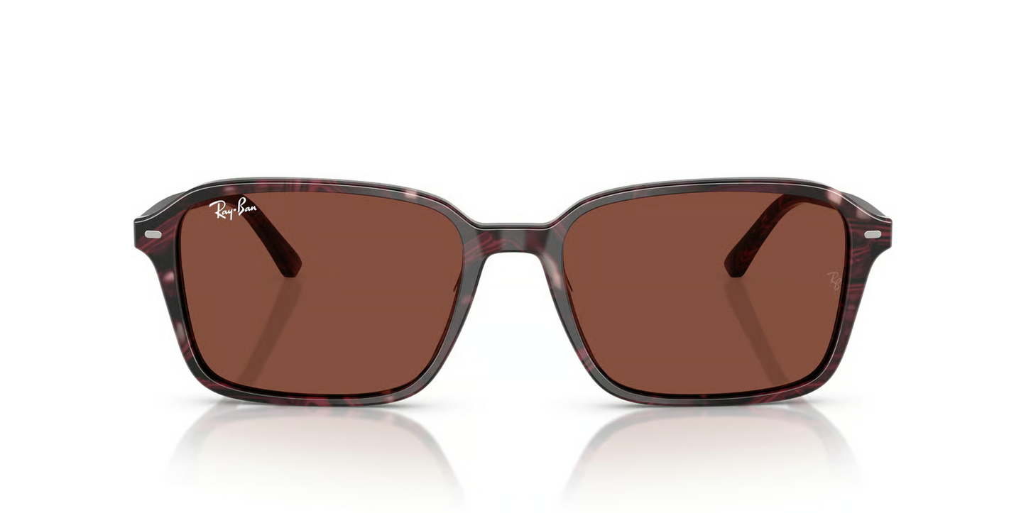 Ray-Ban RB2231F Raimond Sunglasses
