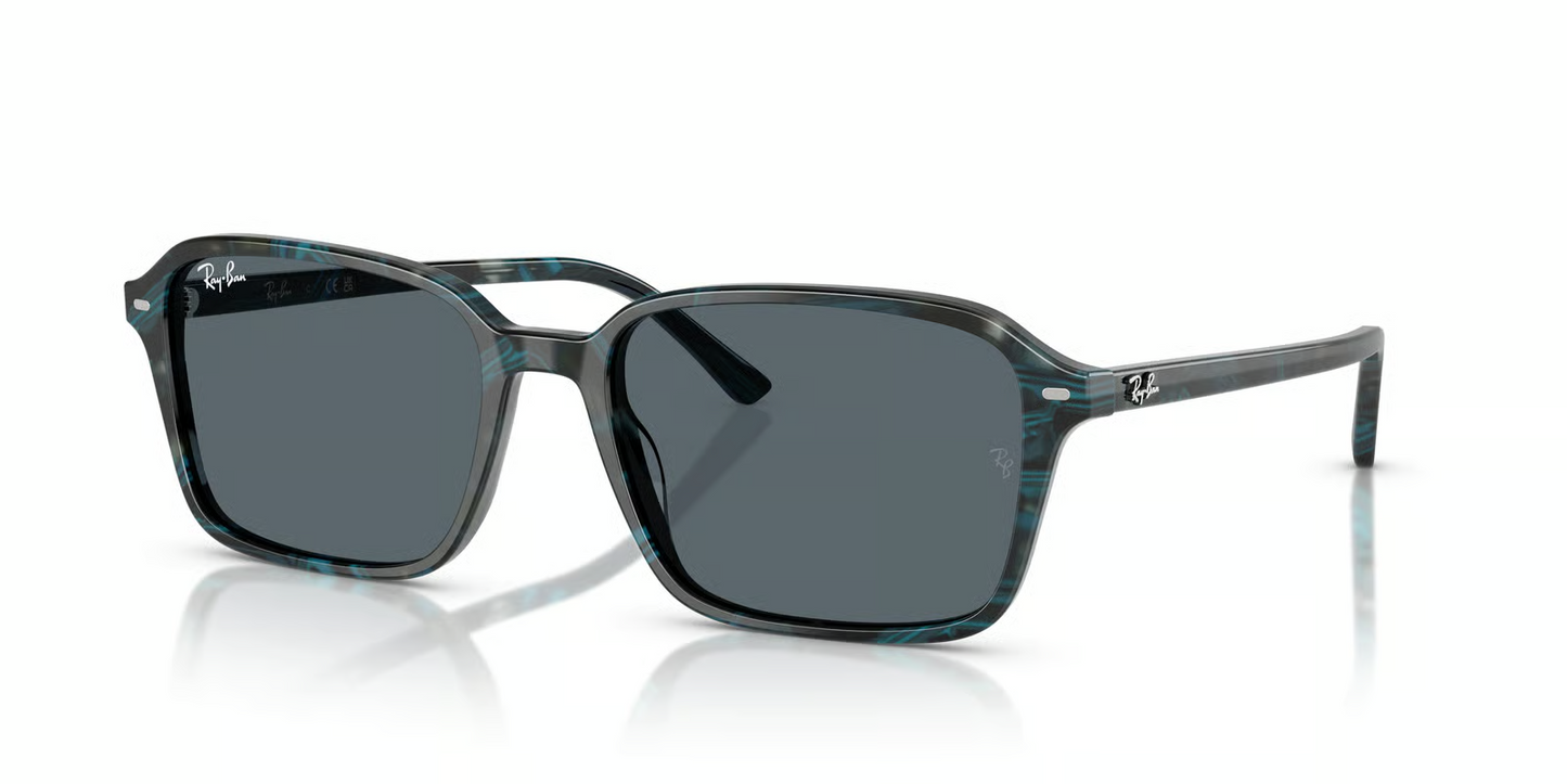 Ray-Ban RB2231F Raimond Sunglasses