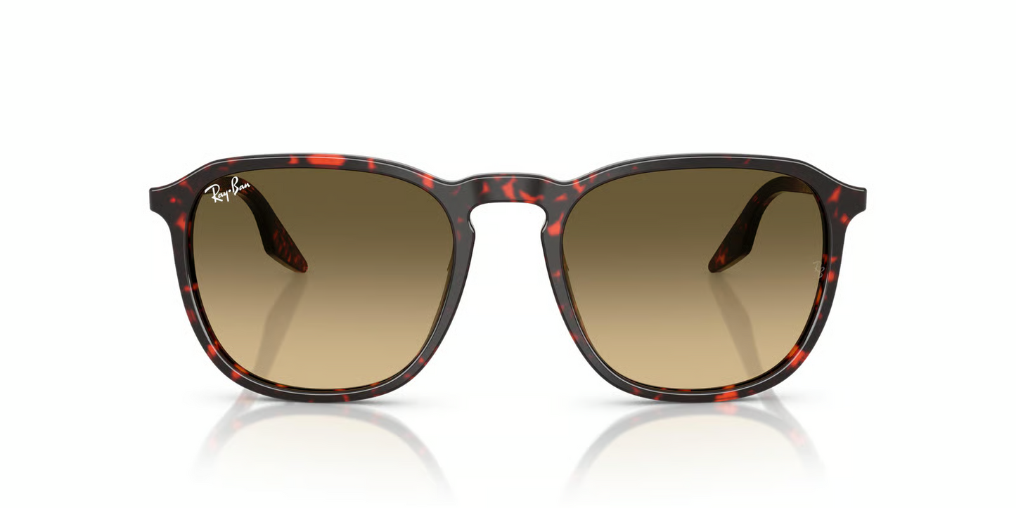 Ray-Ban RB2203 Sunglasses