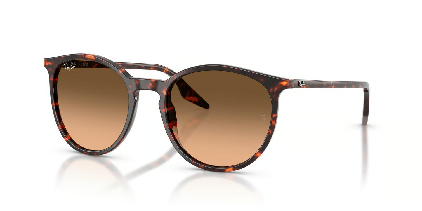 Ray-Ban RB2204 Sunglasses
