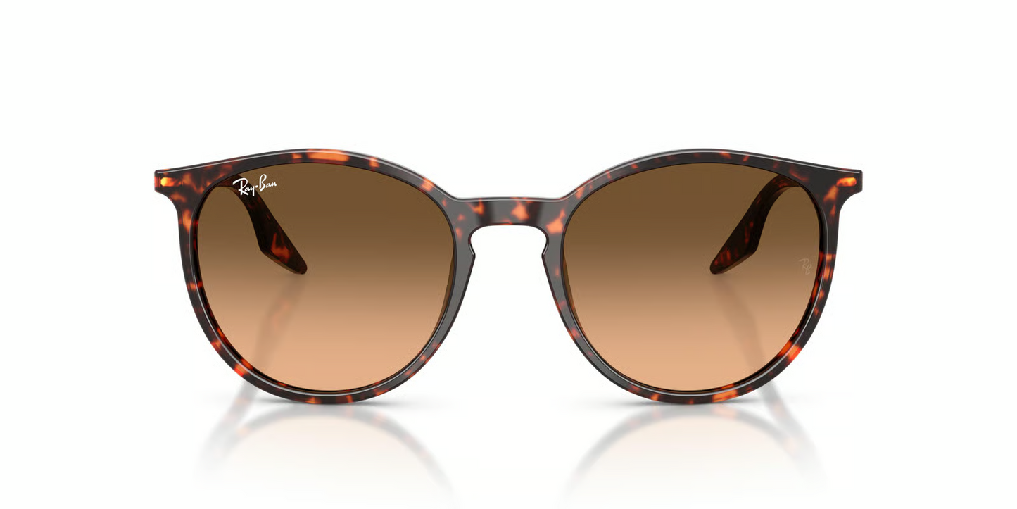Ray-Ban RB2204 Sunglasses