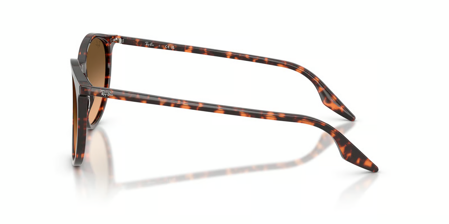 Ray-Ban RB2204 Sunglasses