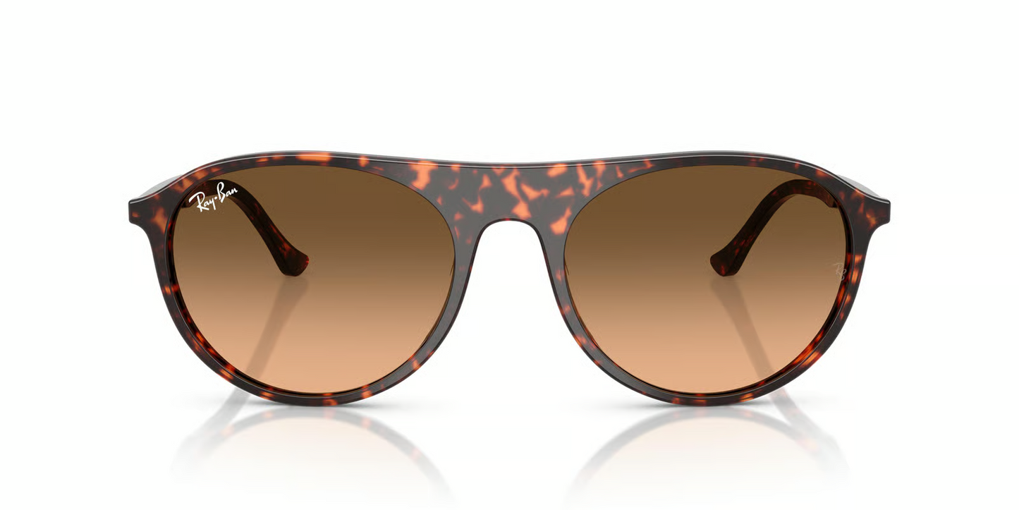 Ray-Ban RB2215F Sunglasses