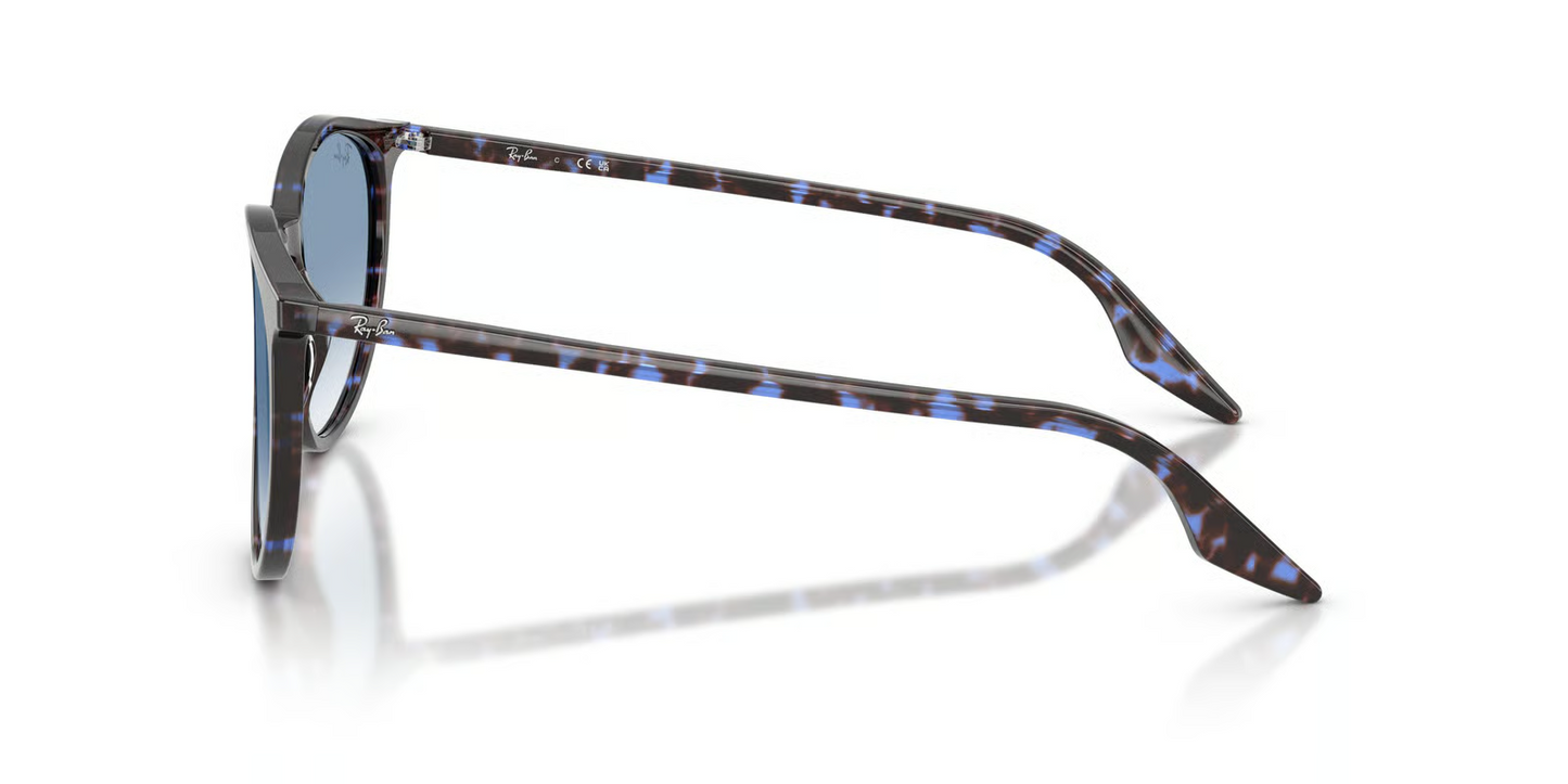 Ray-Ban RB2204 Sunglasses