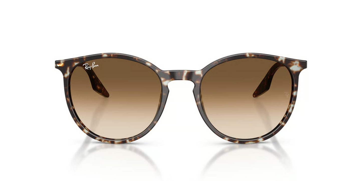 Ray-Ban RB2204 Sunglasses