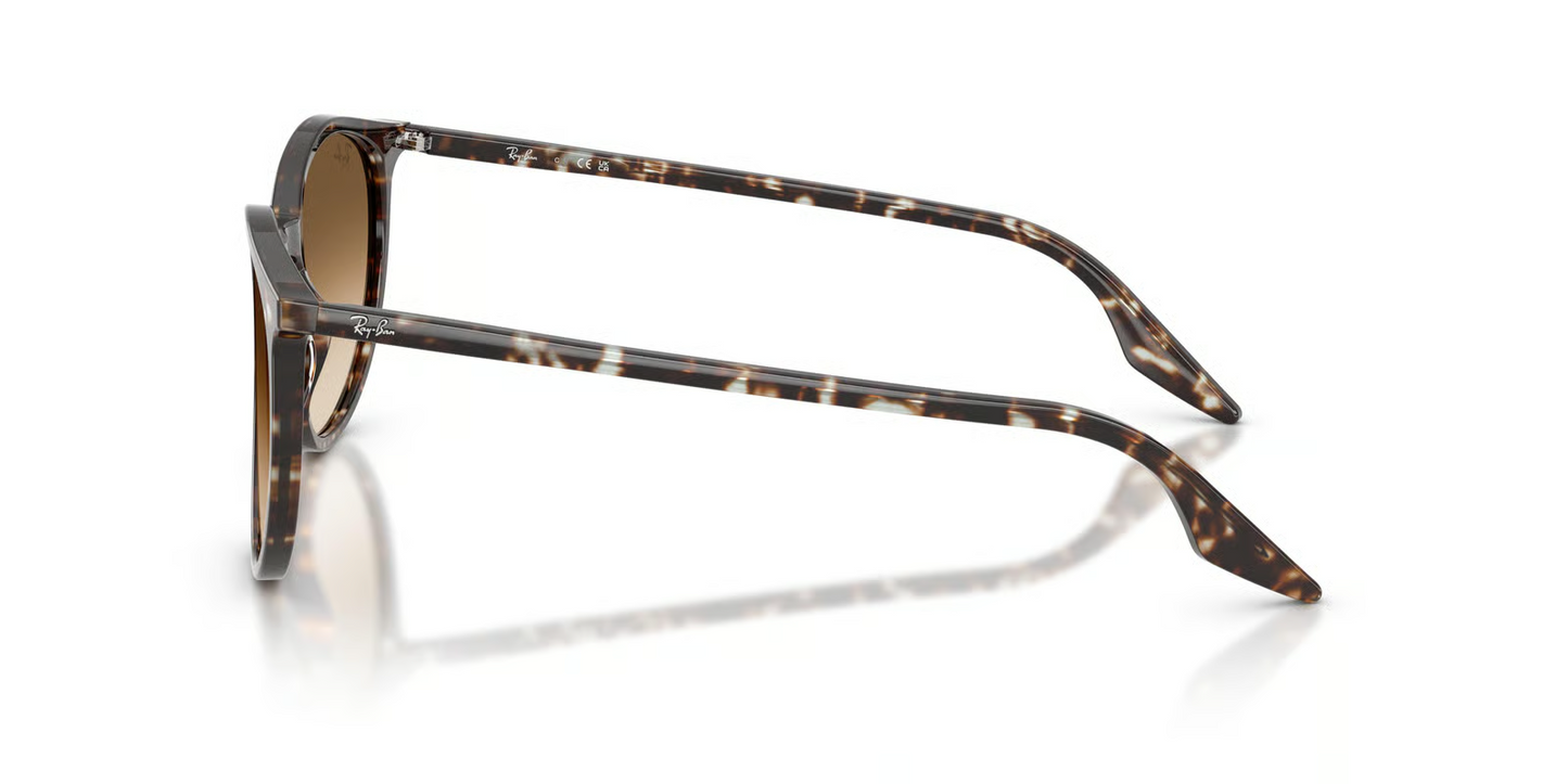 Ray-Ban RB2204 Sunglasses