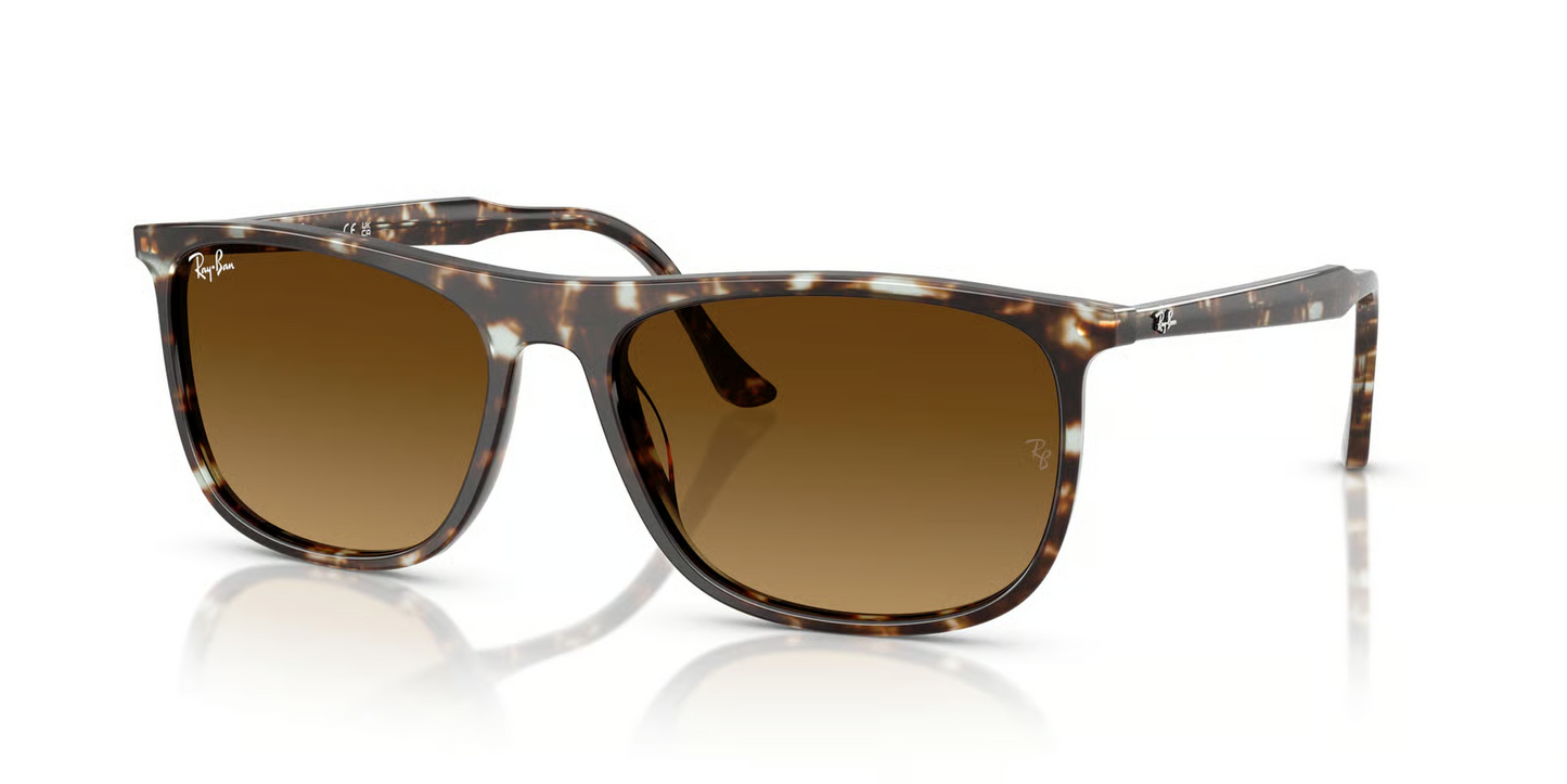 Ray-Ban RB2216F Sunglasses