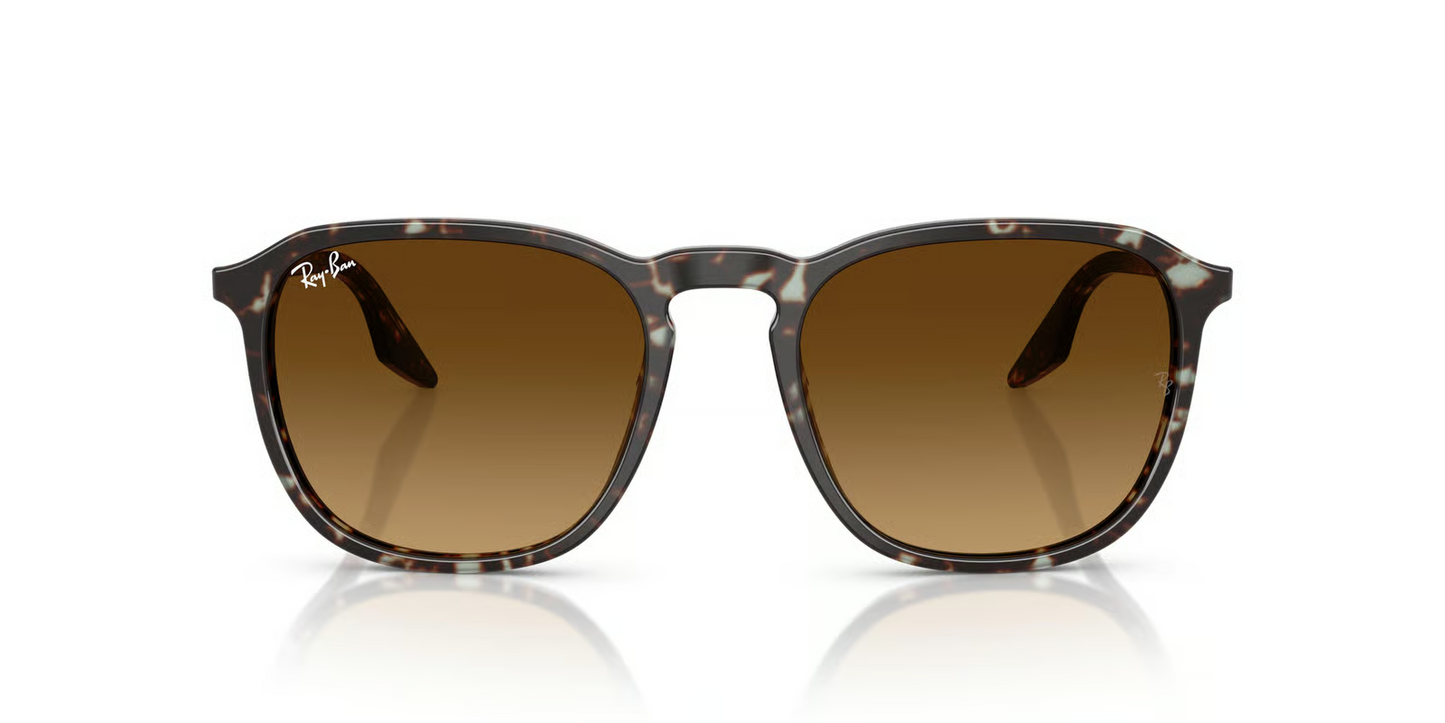 Ray-Ban RB2203 Sunglasses