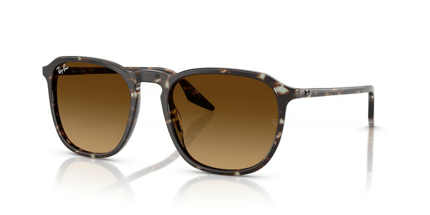Ray-Ban RB2203 Sunglasses